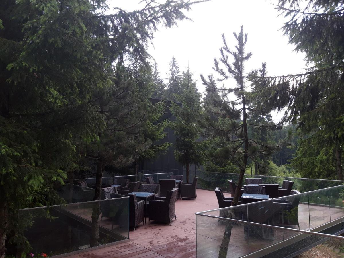 Complex Hotelier Cota O Mie Sinaia Zewnętrze zdjęcie